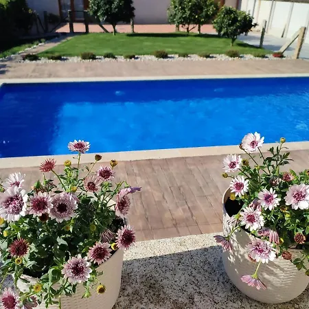 Casa Acogedora Mar De Albarino Con Piscina Villa Cambados Exterior photo
